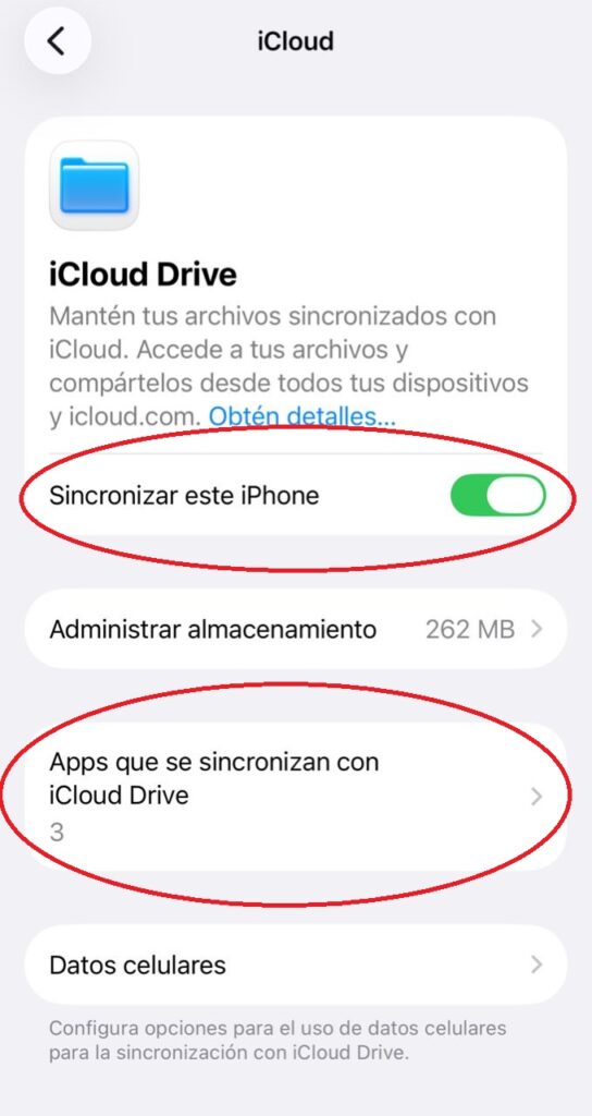 Pantalla de iCloud Drive en iPhone con las opciones "Sincronizar este iPhone" y "Apps que se sincronizan con iCloud Drive" resaltadas