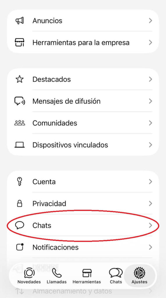 Menú de Ajustes de WhatsApp Business en iPhone con la opción Chats resaltada en círculo rojo