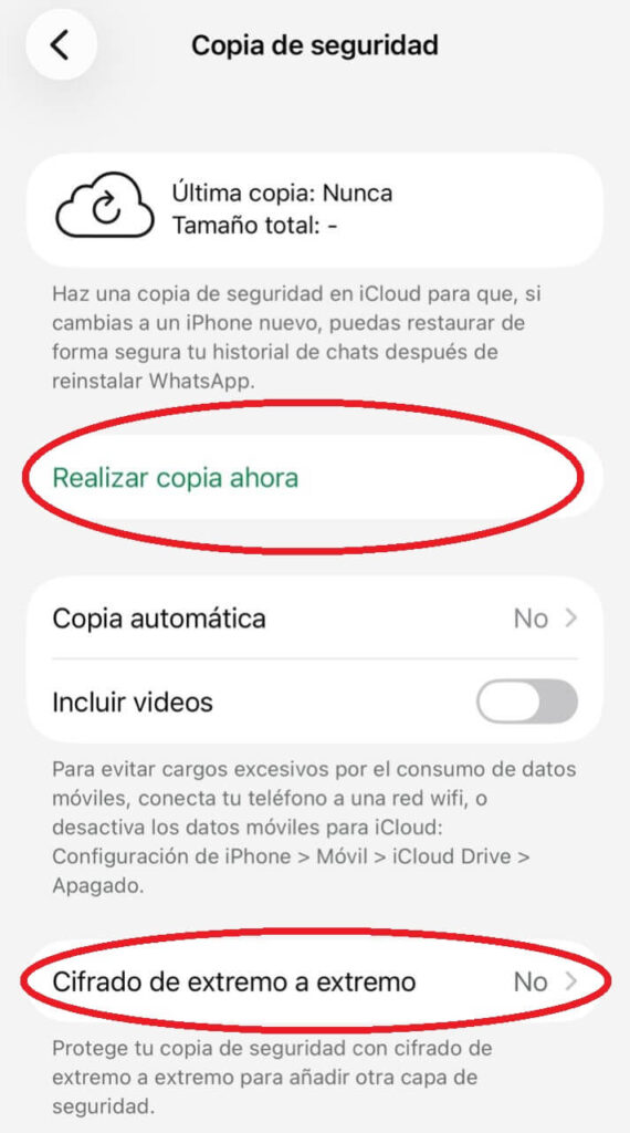 Pantalla de Copia de seguridad de WhatsApp en iPhone con las opciones "Realizar copia ahora" y "Cifrado de extremo a extremo" resaltadas