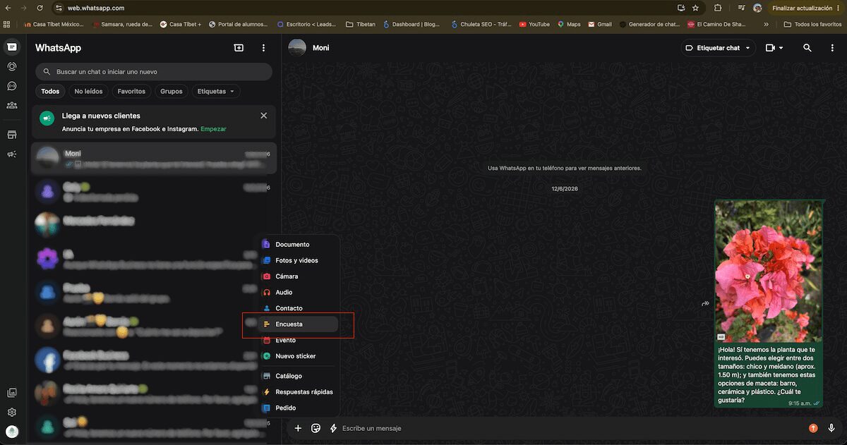 Menú de adjuntar en WhatsApp Web con la opción Encuesta seleccionada en el panel desplegable