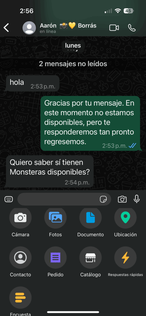 Menú de opciones para adjuntar en un chat de WhatsApp Business, con la opción Catálogo resaltada para compartir productos en la conversación.