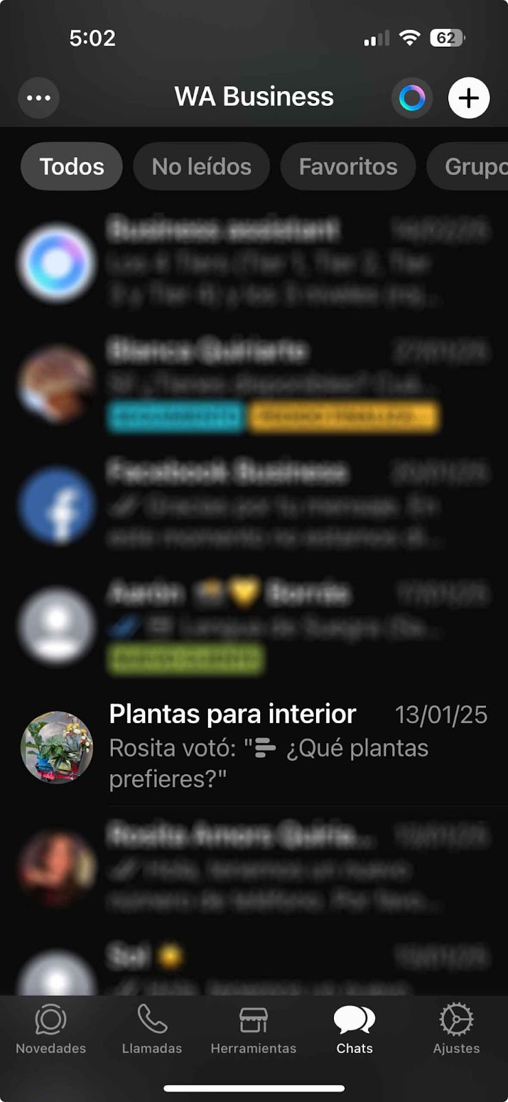 Lista de chats en WhatsApp Business donde aparece el grupo Plantas para interior con el último mensaje de una encuesta