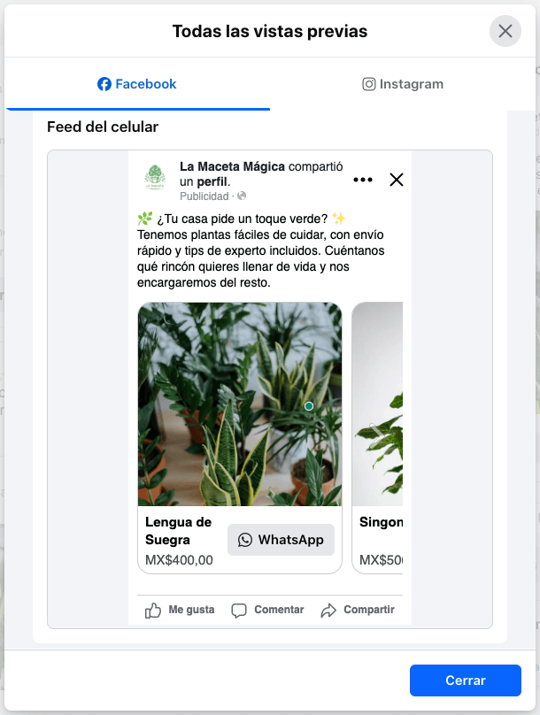 Captura de pantalla del noveno paso para configurar un anuncio con CTA a WhatsApp: publica tu anuncio