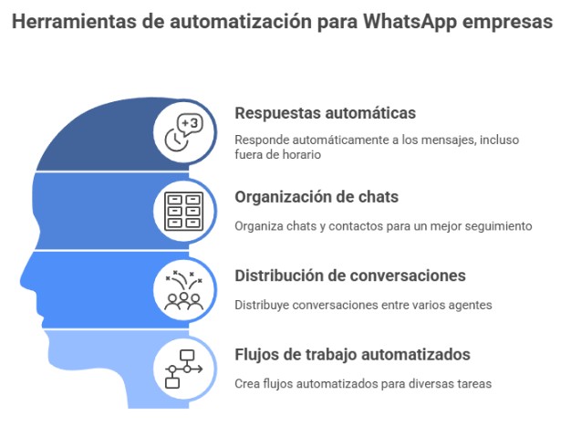Herramientas de automatización para WhatsApp empresas