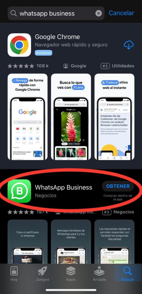 Pantalla de descarga de WhatsApp Business en Google Play