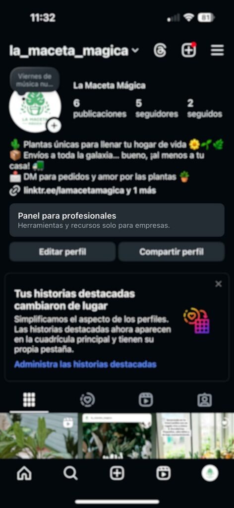 Captura de pantalla del perfil de Instagram mostrando la tarjeta de acceso al Panel para profesionales.