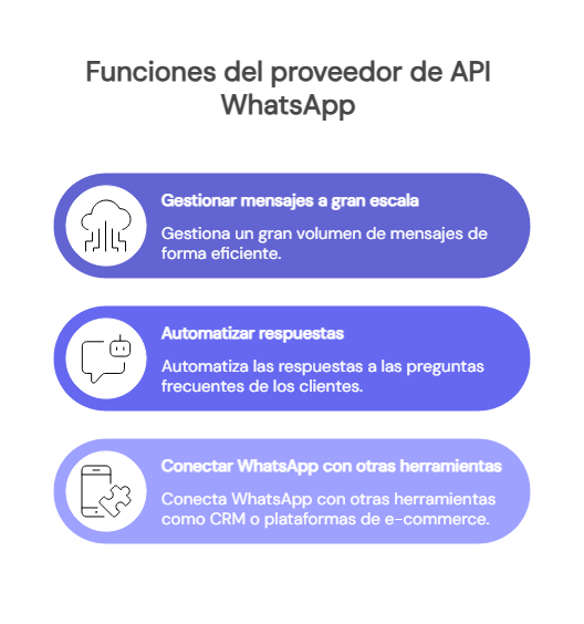 Funciones de un proveedor de API de WhatsApp