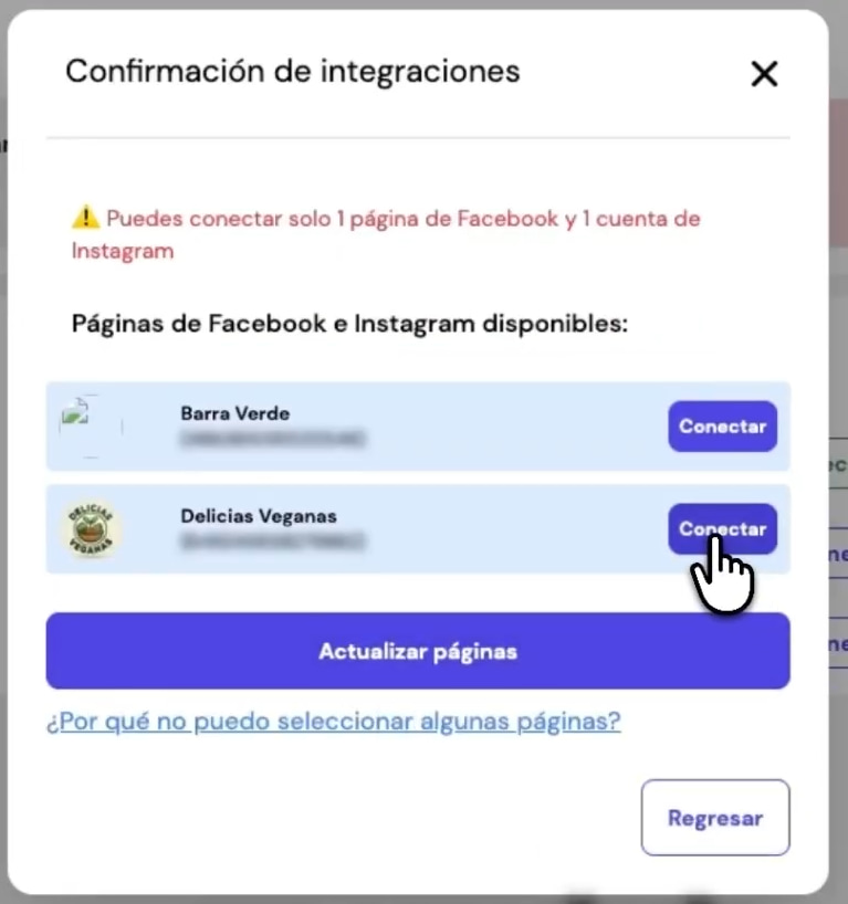 Pantalla de Leadsales para conectar con Facebook e Instagram