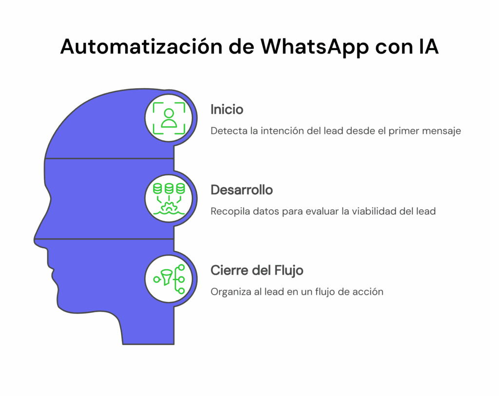 Etapas cómo automatizar WhatsApp con IA para atender y calificar leads 24/7